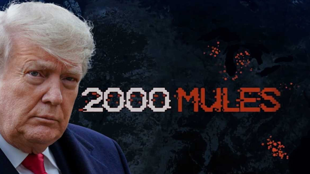 How to watch 2000 mules free online streaming