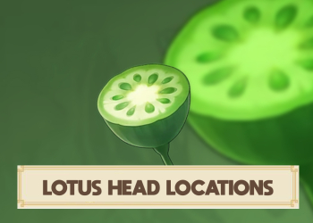 Genshin Impact Lotus Head