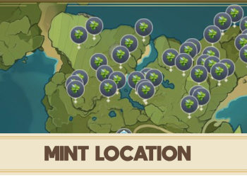 Mint Genshin Impact Location