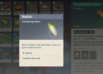 Radish Genshin Impact