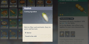 Radish Genshin Impact