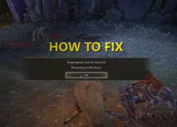 Elden Ring Inappropriate Activity Detected