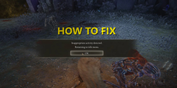 Elden Ring Inappropriate Activity Detected