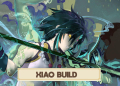 Xiao Build