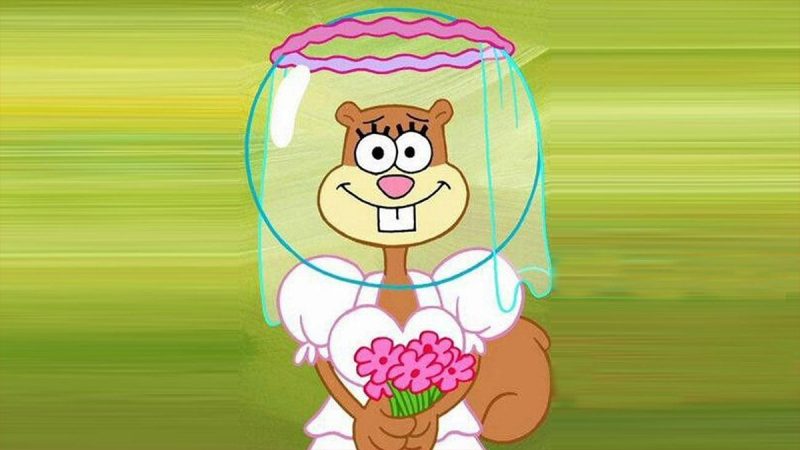 Spongebob Squarepants Theory Sandy