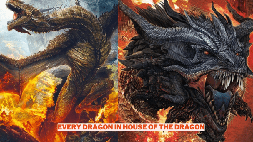 Every Dragon In House Of The Dragon