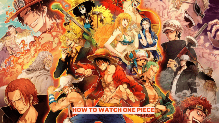 How To Watch One Piece In Order