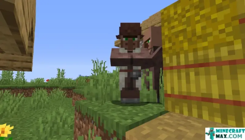 All The Minecraft Villager Jobs Explained 13