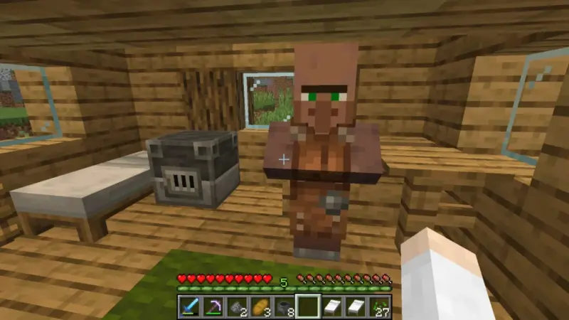 All The Minecraft Villager Jobs Explained 8