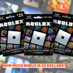 How Much Robux Is 25 Dollars Wowkia