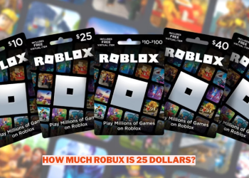 How Much Robux Is 25 Dollars Wowkia