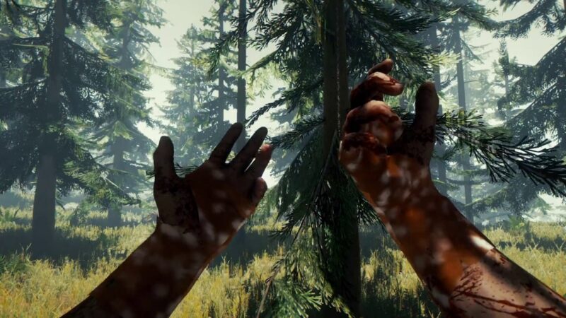 The Forest Cheats For Playstation 4 And Pc 